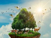 Conserving Wilderness: Protecting and Preserving Earth’s Last Wild Places