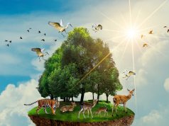 Conserving Wilderness: Protecting and Preserving Earth’s Last Wild Places