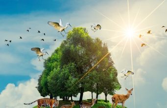 Conserving Wilderness: Protecting and Preserving Earth’s Last Wild Places