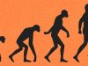 The Evolution of Humans: A Journey Through Time