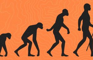 The Evolution of Humans: A Journey Through Time