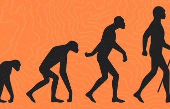 The Evolution of Humans: A Journey Through Time