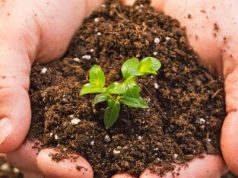 Soil Pollution: Understanding the Causes, Impacts, and Remediation