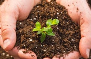 Soil Pollution: Understanding the Causes, Impacts, and Remediation