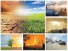 Environmental Issues: Causes and Solutions