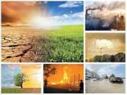 Environmental Issues: Causes and Solutions