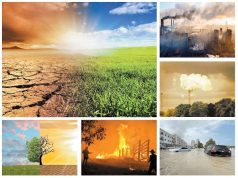 Environmental Issues: Causes and Solutions