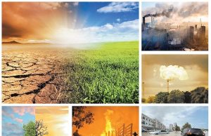 Environmental Issues: Causes and Solutions