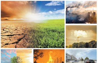 Environmental Issues: Causes and Solutions