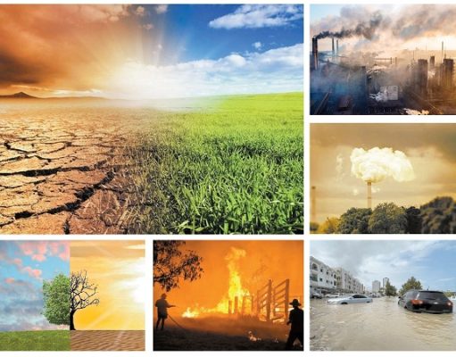 Environmental Issues: Causes and Solutions